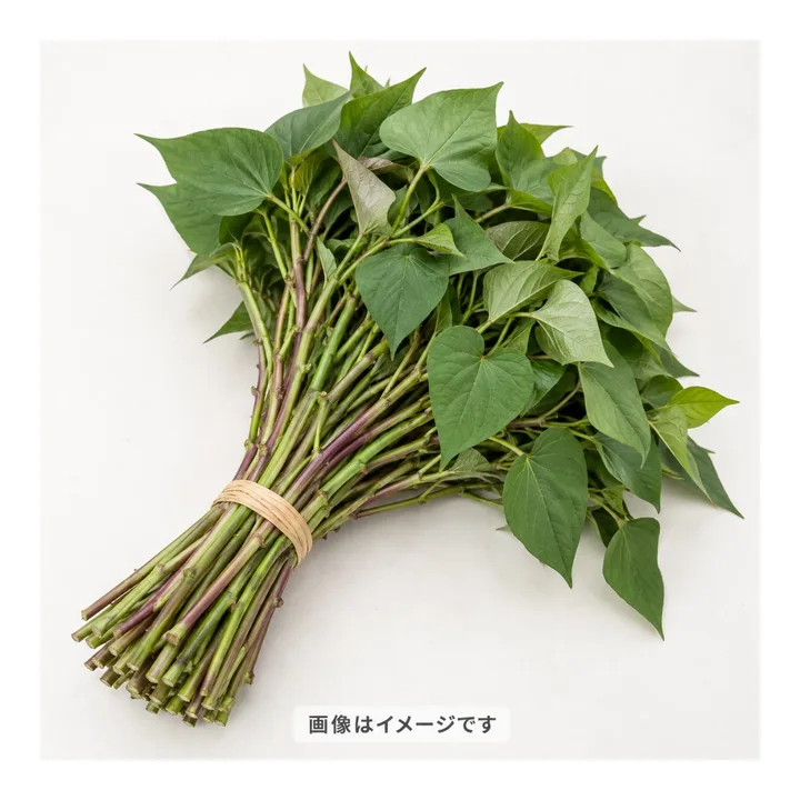 【予約販売】サツマイモ苗 50本束の商品画像