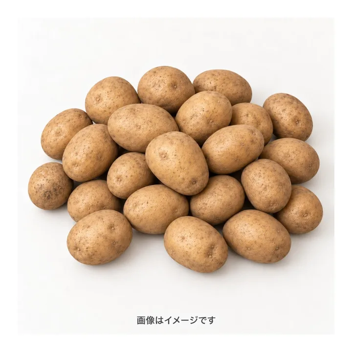 種馬鈴薯の商品画像